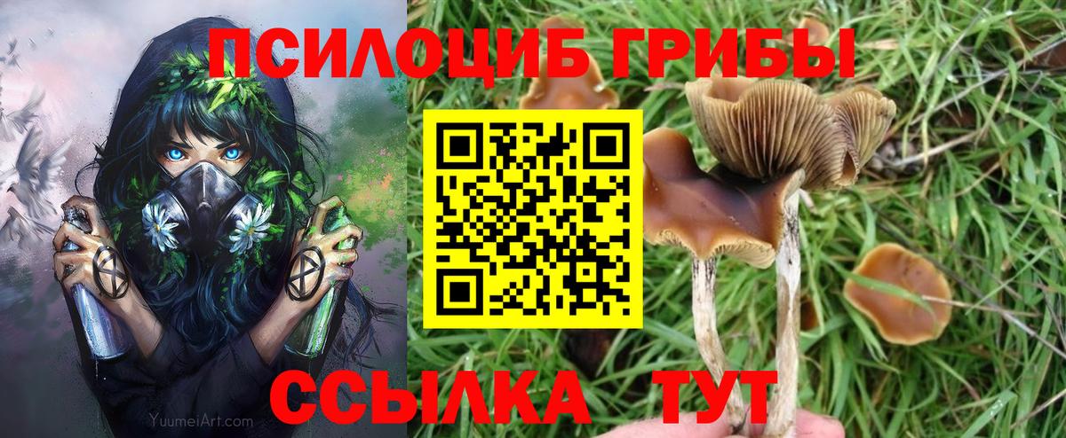Псилоцибиновые грибы мицелий  Вход с VPN  Медногорск 