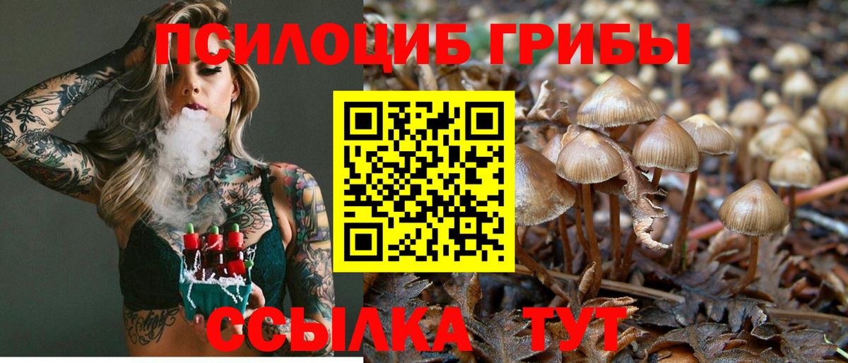 Псилоцибиновые грибы MAGIC MUSHROOMS Медногорск